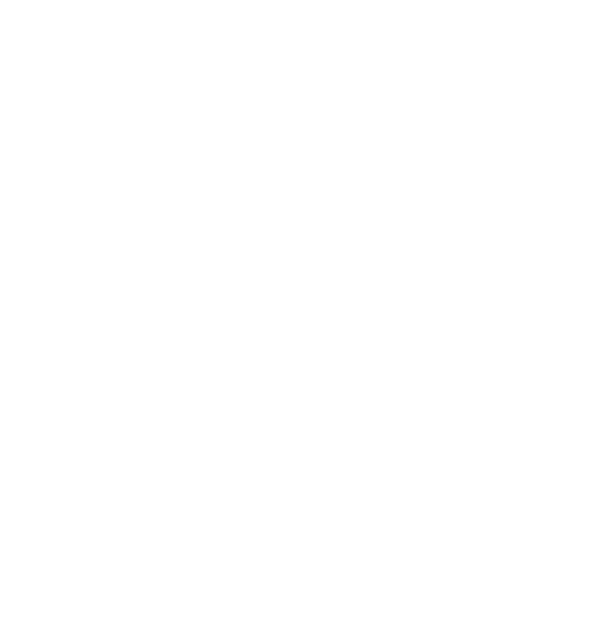 The Hangar 9, Carbondale, IL