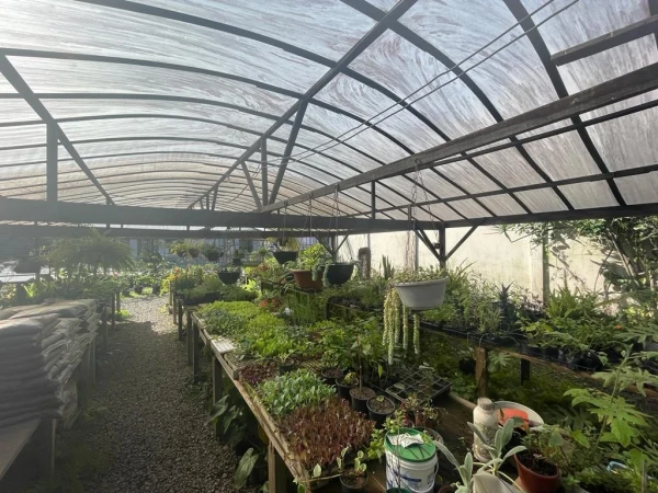 Terreno em Joinville