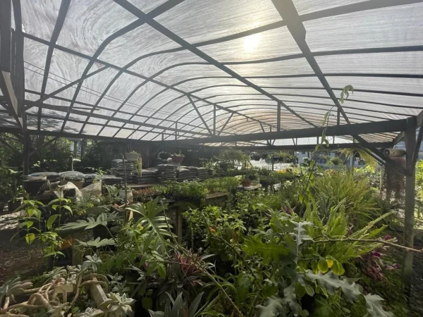 Terreno em Joinville