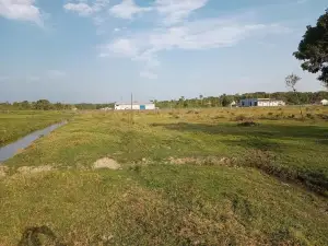 properties