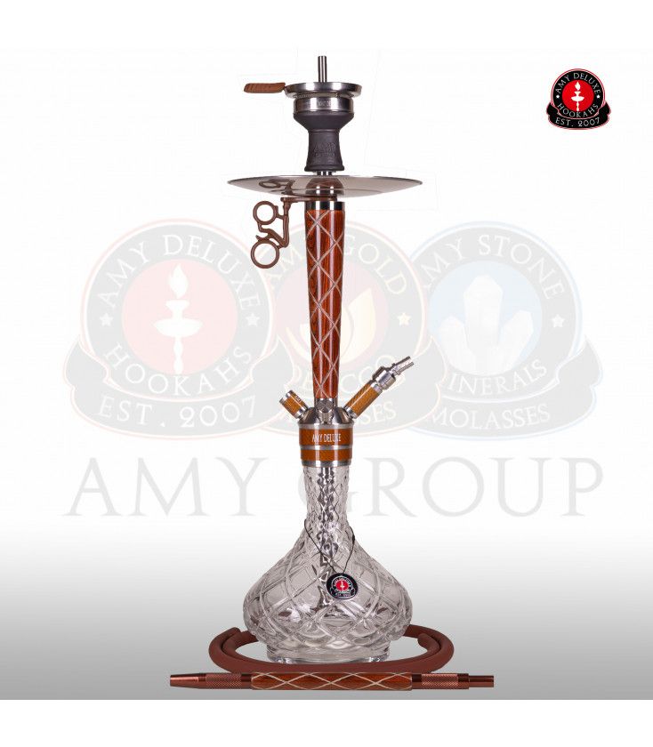 Amy Deluxe X-Ray 102.01 – Braun
