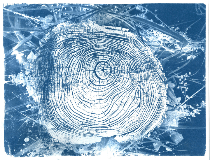 Picutre of folder cover