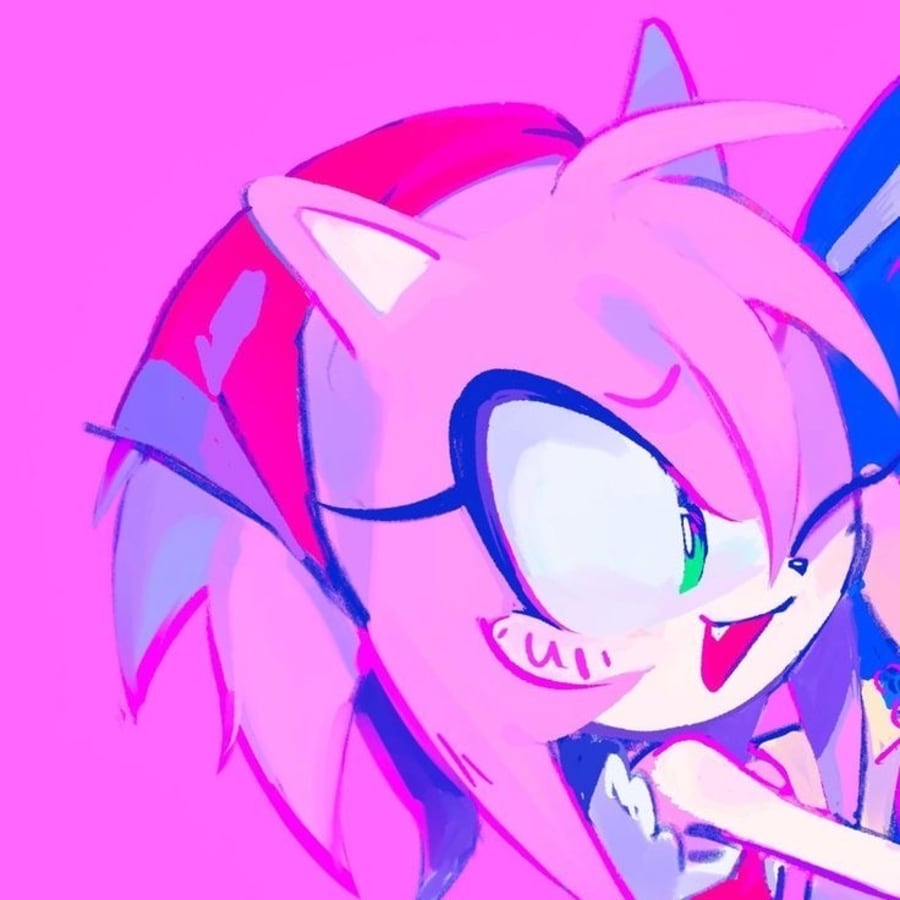 Cartoons matching profile picture pair titled “Amy Sonic Neon Pair”, left side