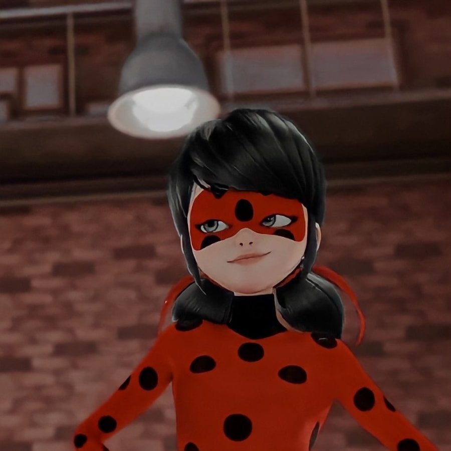 Cartoons matching profile picture pair titled “Catnoir Ladybug Stance Pair”, right side
