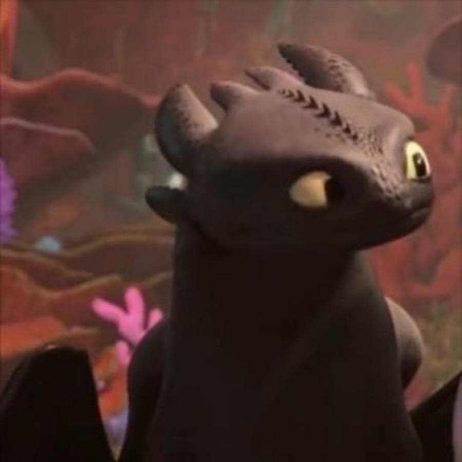 Movies matching profile picture pair titled “Toothless Lightfury Coralcove Pair”, left side