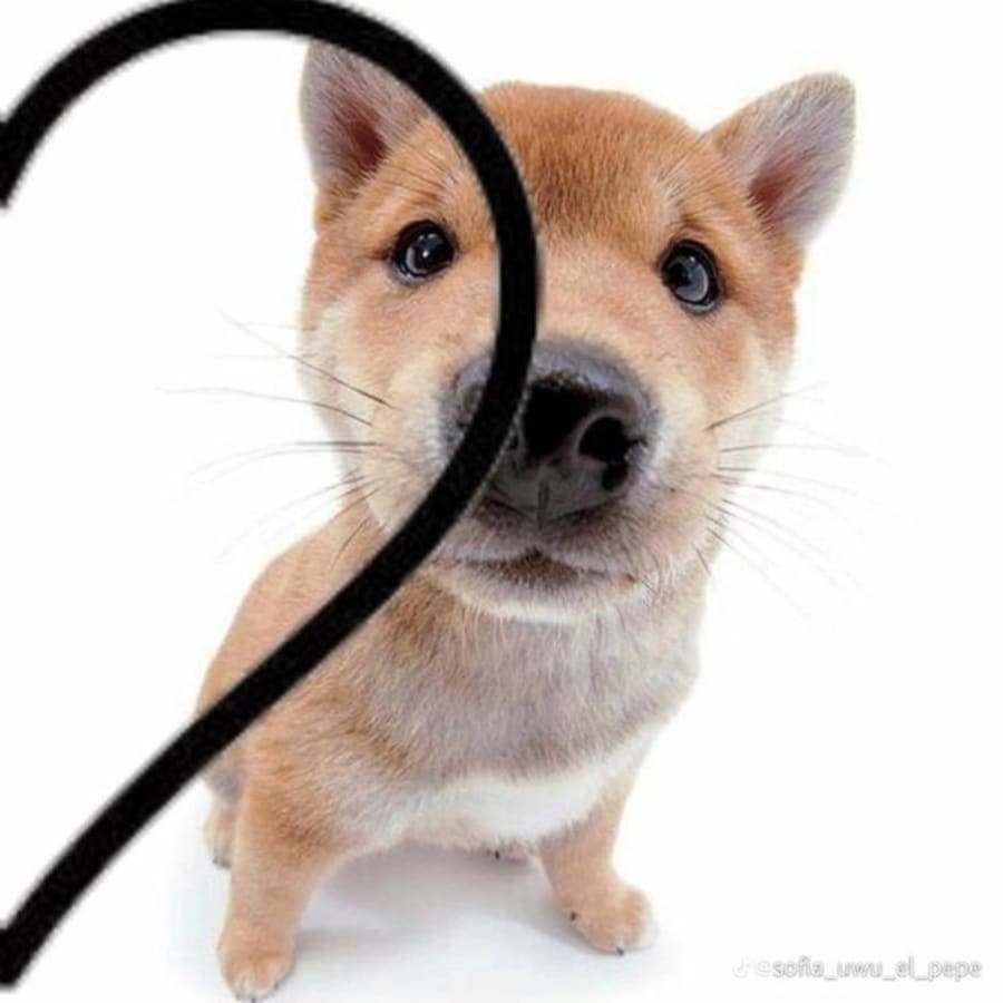 Cute matching profile picture pair titled “Cat Heart Pair”, right side