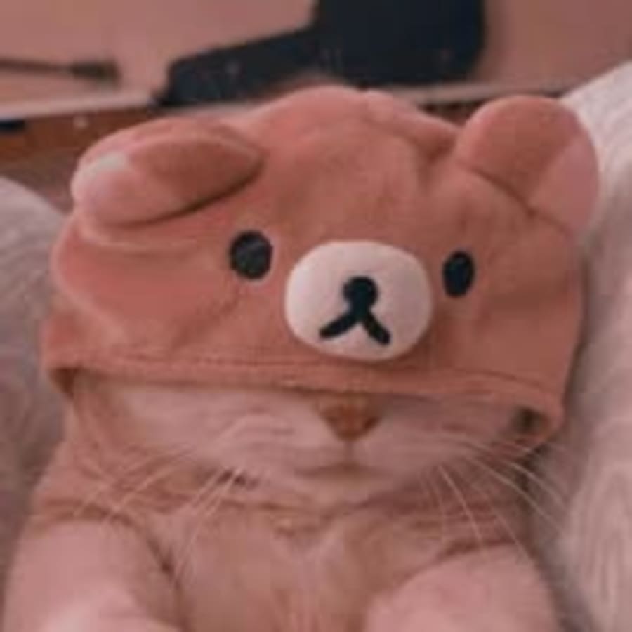 Cute matching profile picture pair titled “Catbear Pair”, left side