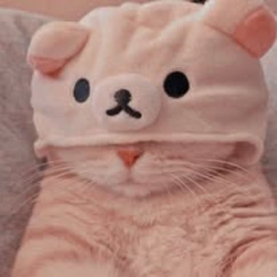 Cute matching profile picture pair titled “Catbear Pair”, right side