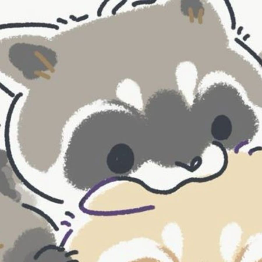 Cute matching profile picture pair titled “Raccoon Pair”, left side