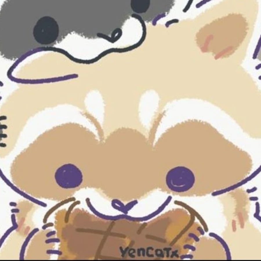 Cute matching profile picture pair titled “Raccoon Pair”, right side