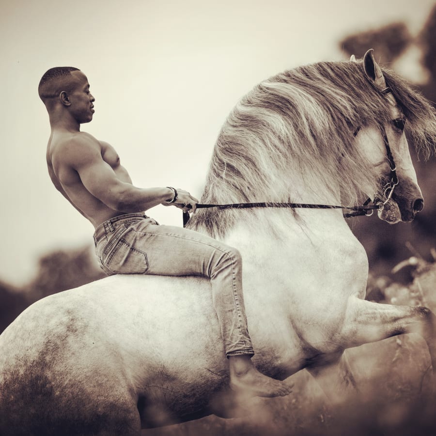 Nicholas Phillips with horse