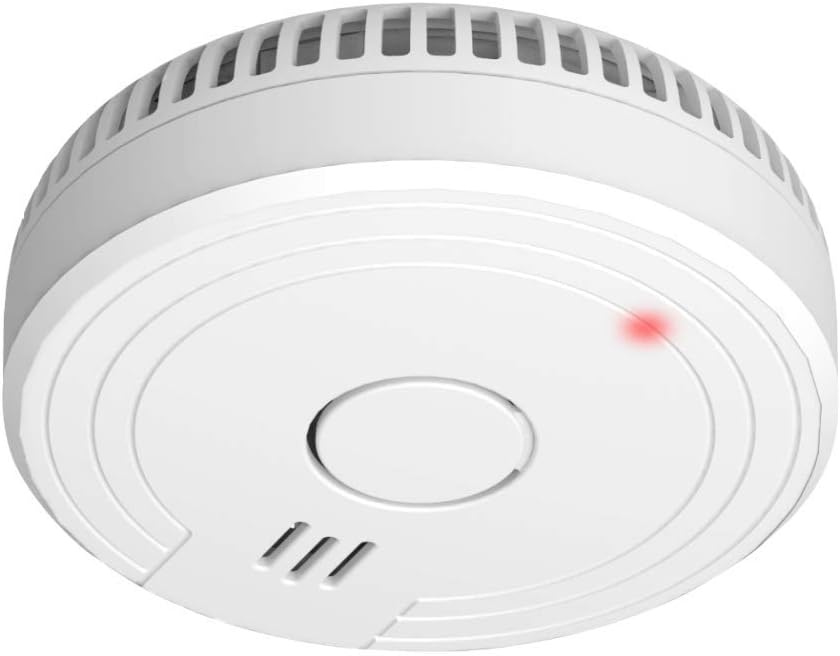 Elro Fs Detecteur De