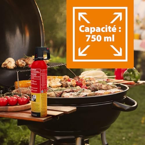 Vue 6 de Smartwares Extincteur Spray Ml