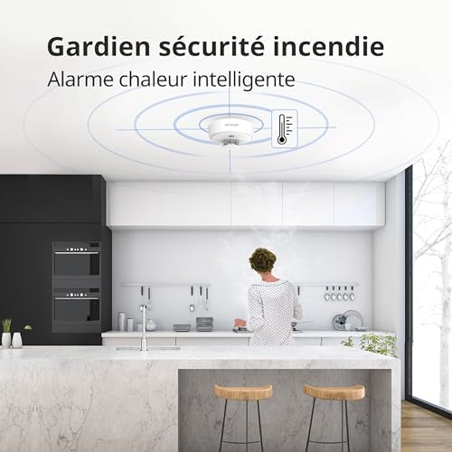 Vue 2 de Detecteur De Chaleur Pile