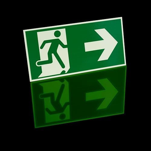 Vue 3 de Panneau Issue De Secours