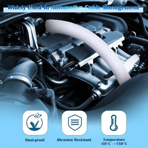 Vue 5 de Romon Manchon De