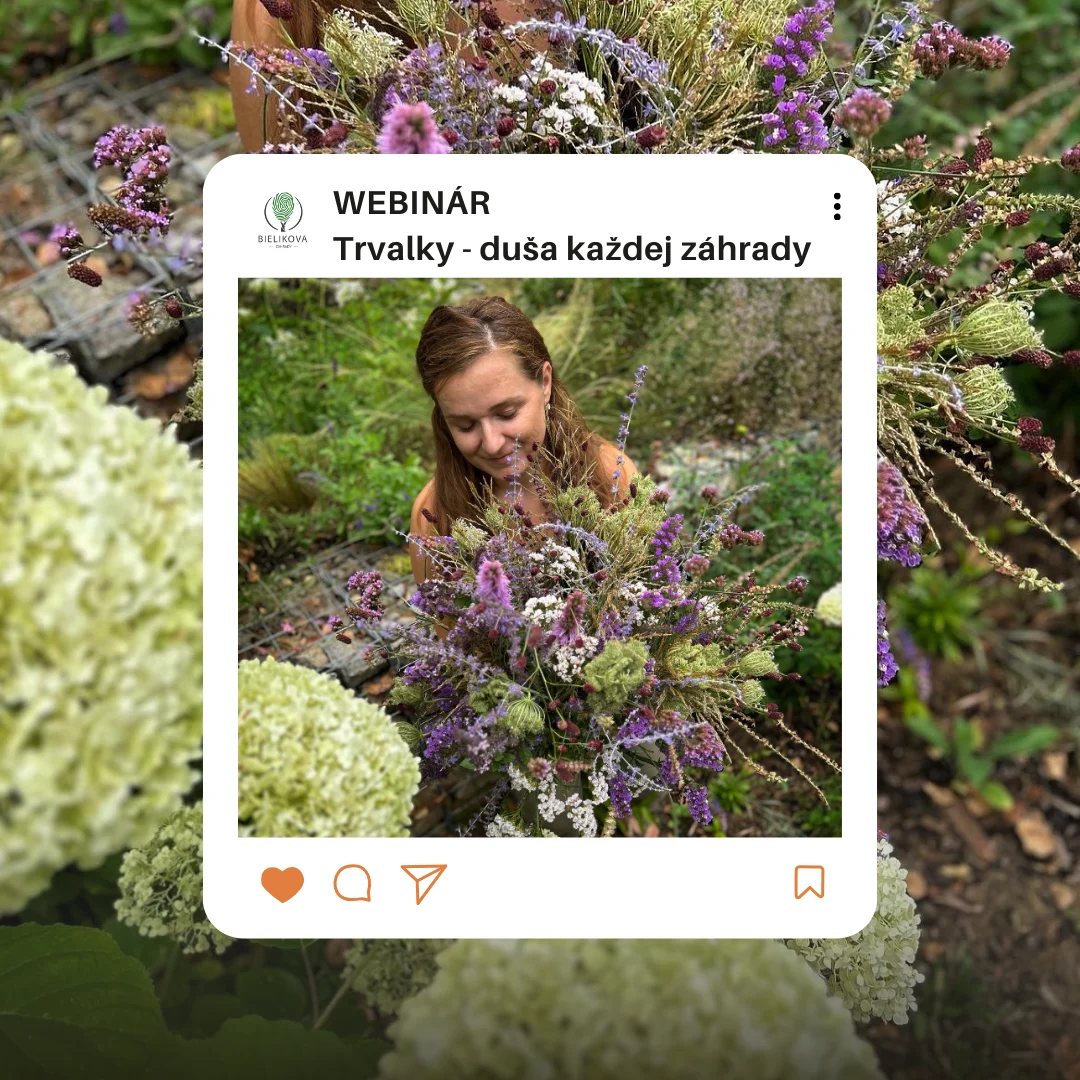 WEBINÁR: Trvalky, duša každej záhrady