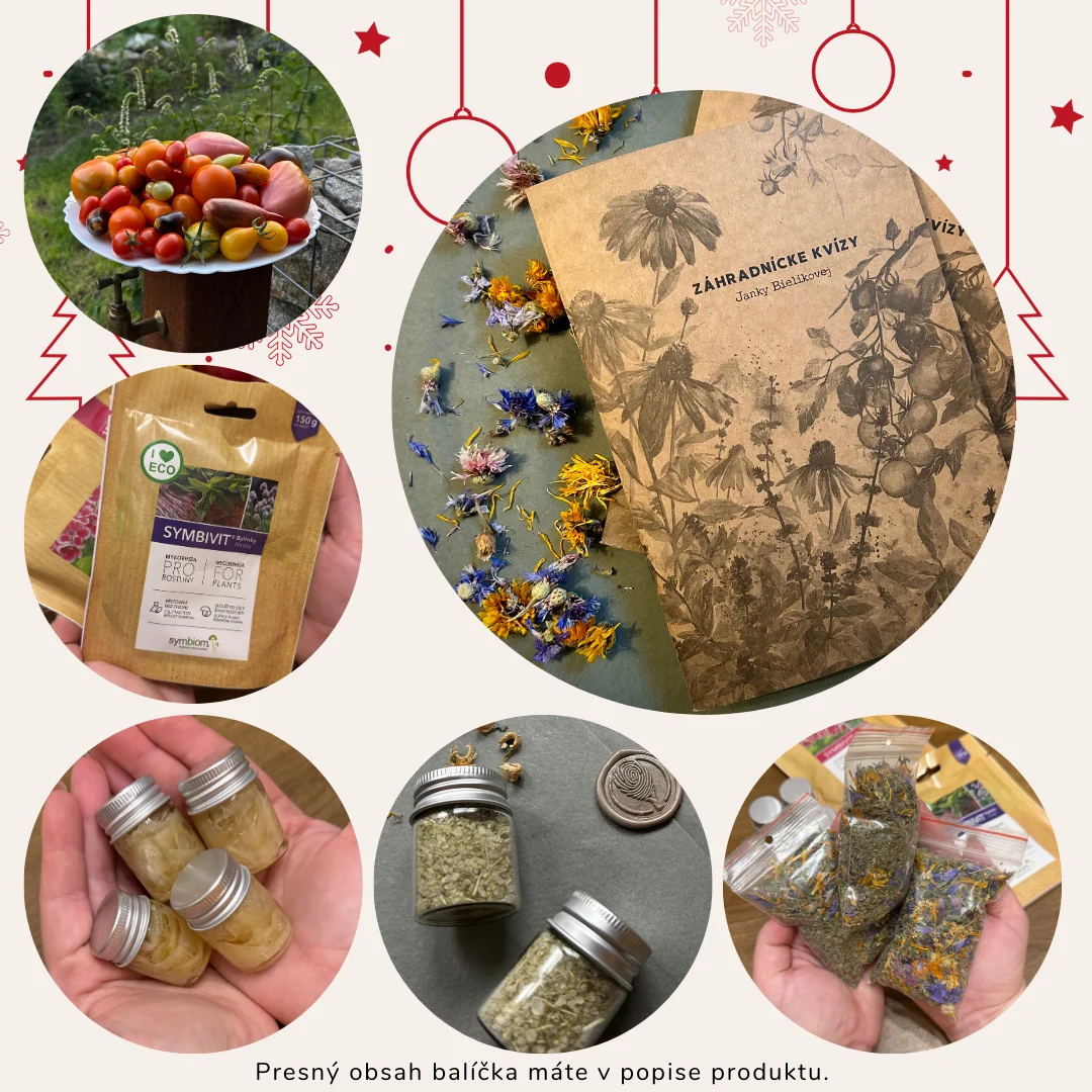 Vianočný balíček KLASIK - Image 2