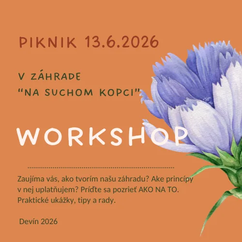 PIKNIK V NAŠEJ ZÁHRADE - DEVÍN, 13.6.2026
