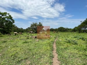 Terreno Campestre Trapiche - Miniatura 3