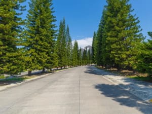 Casa en venta en fraccionamiento privado Bosque Real, Colima - Miniatura 3