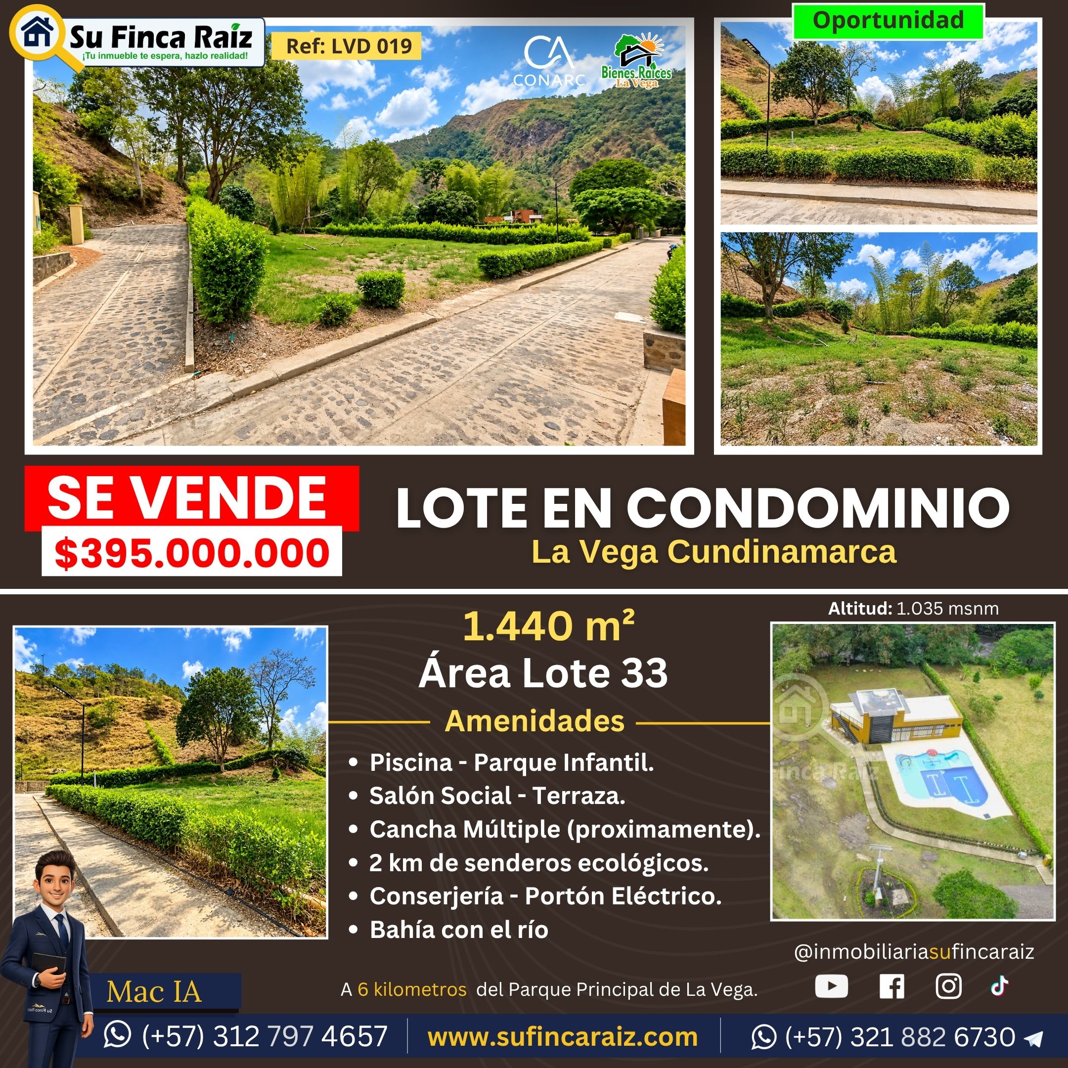 campestre