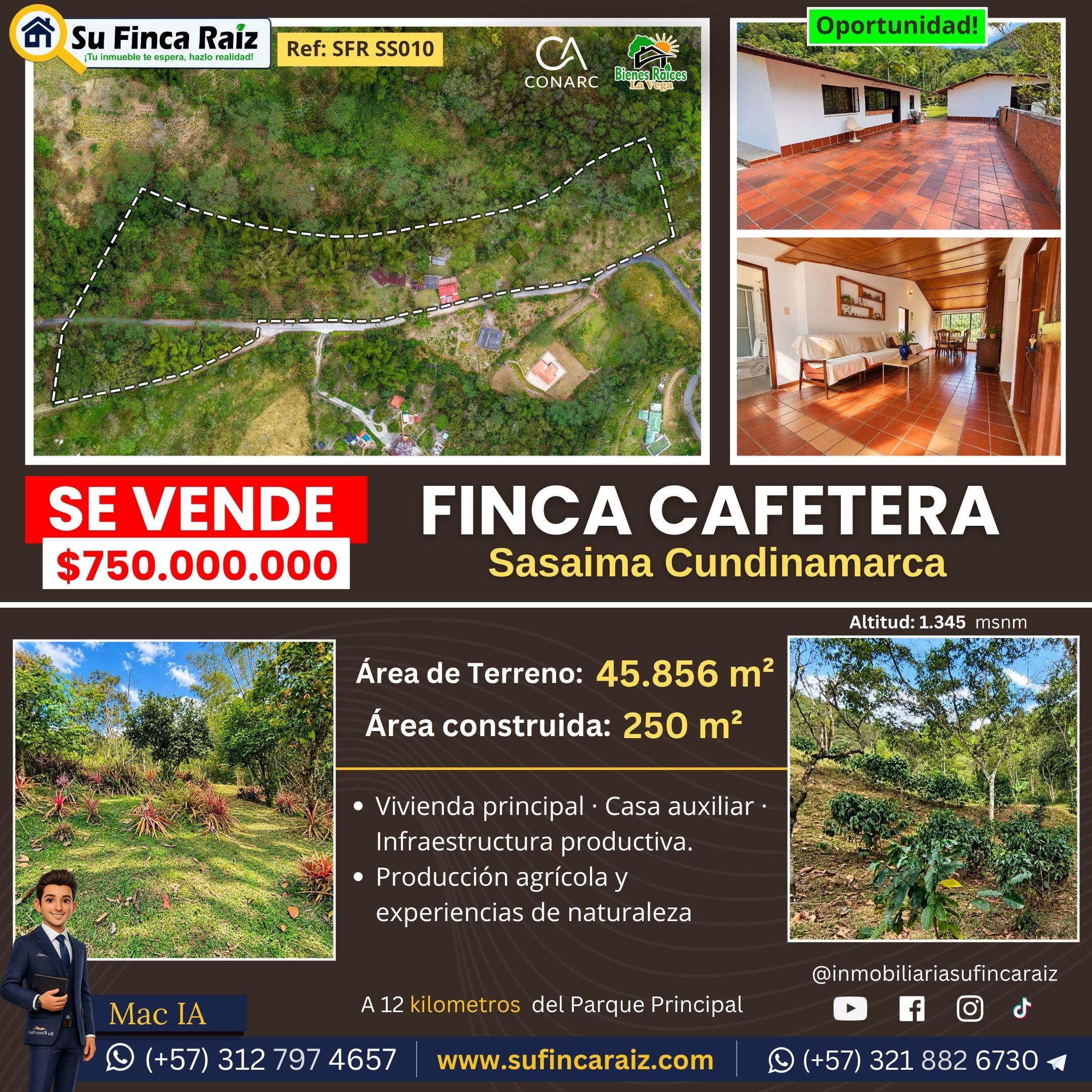 cafetera