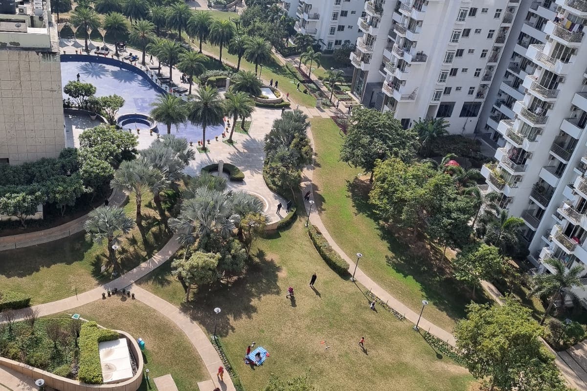 Available for Rent in Palm Drive image 2