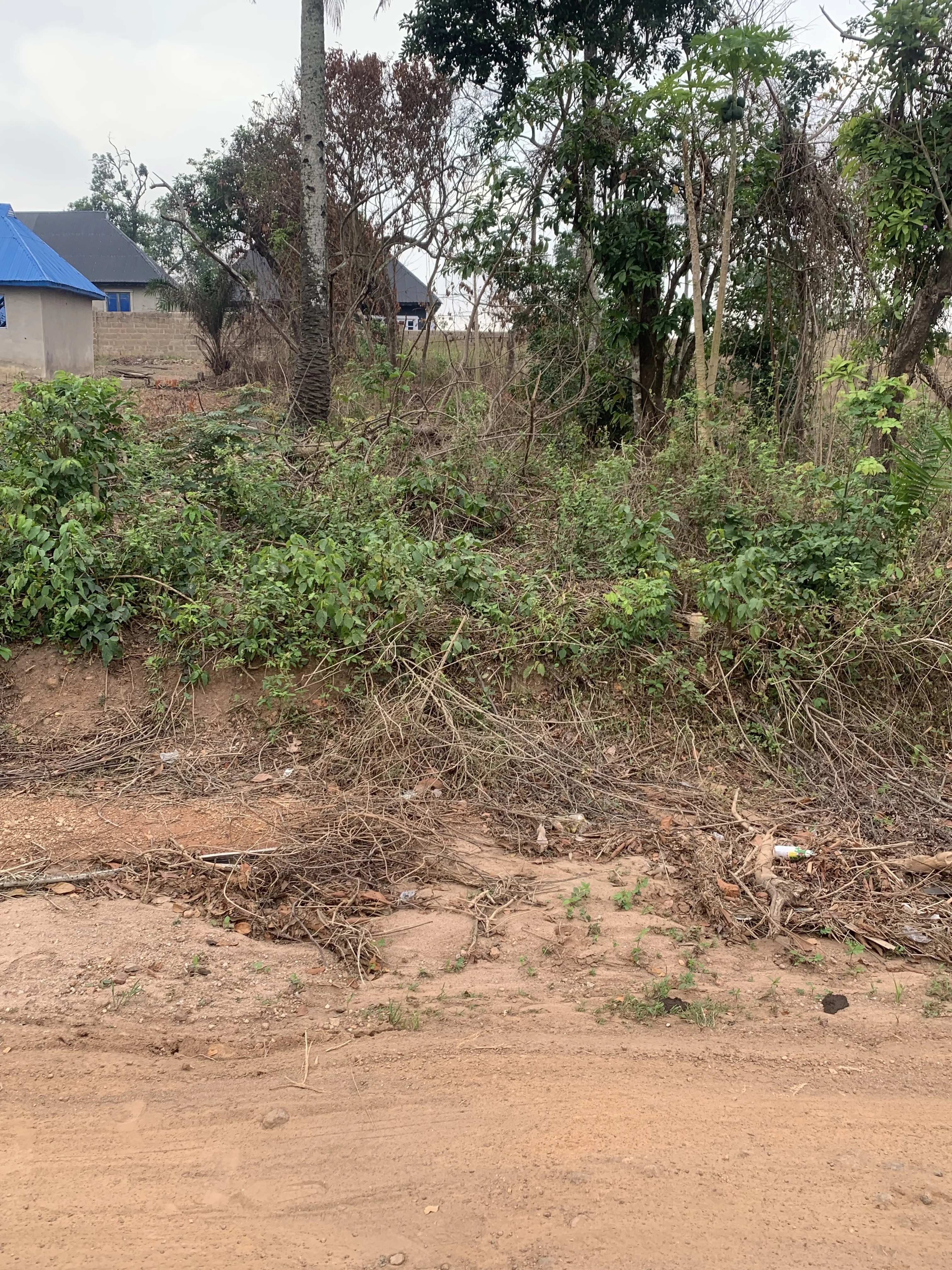 Land – Land for Sale