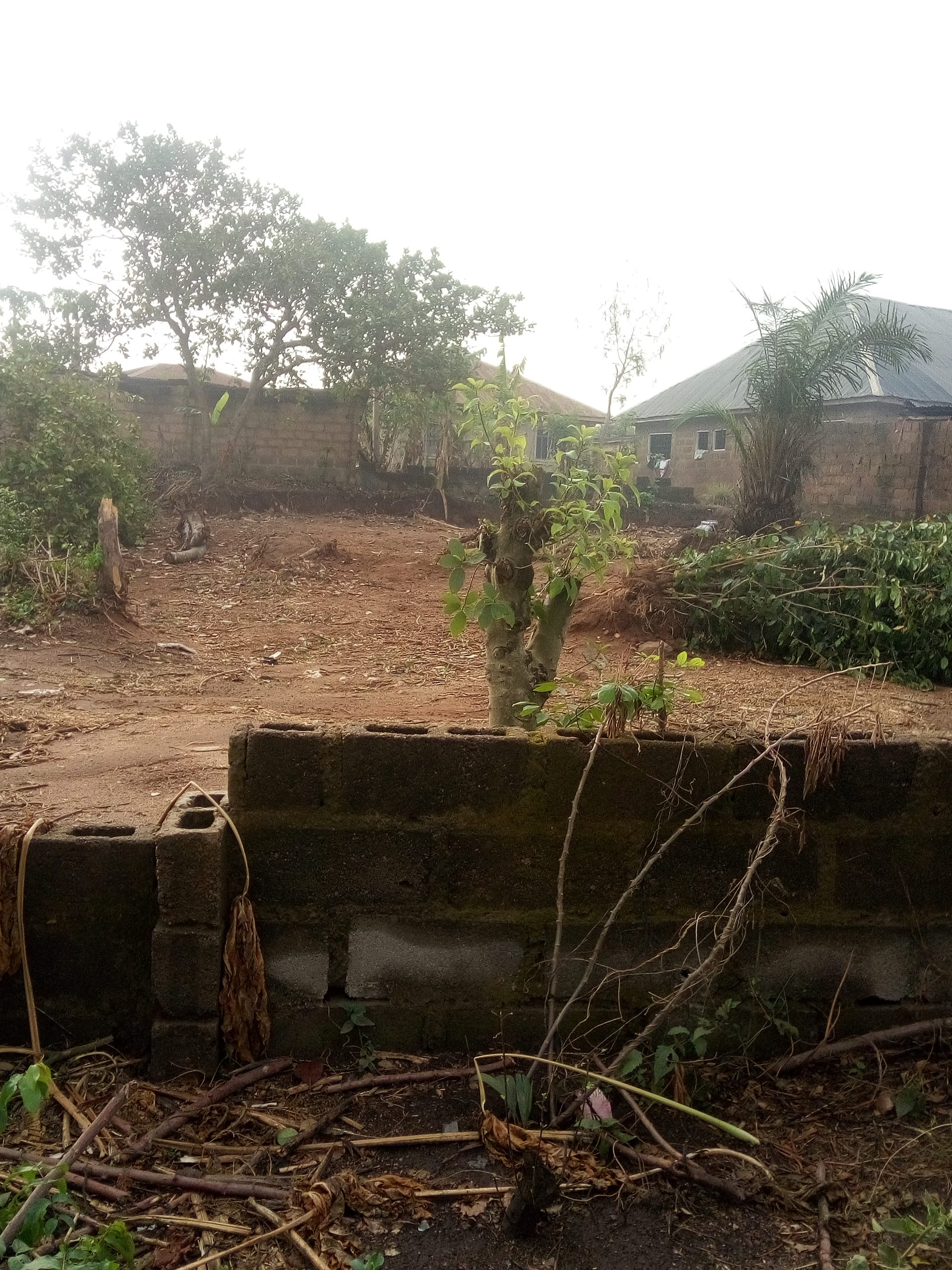 Land – Land for Sale