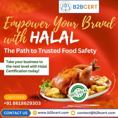 HALAL Certification in Dubai – Other Services