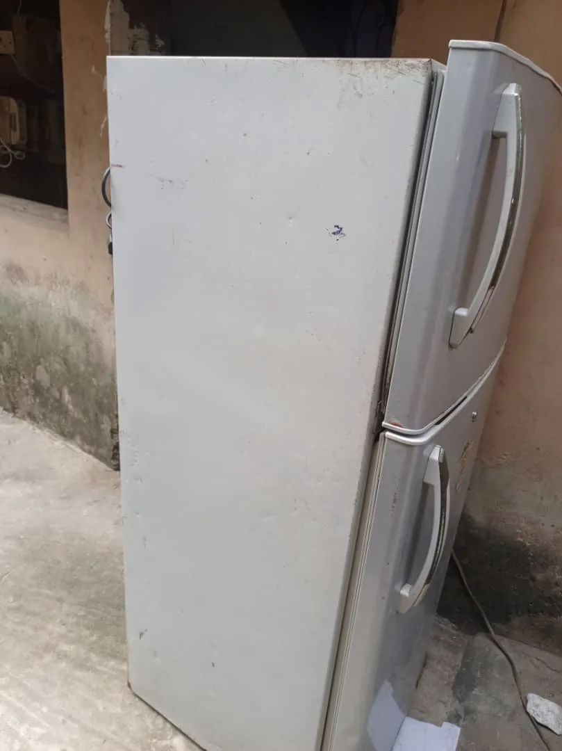 Haier Thermocool Refrigerator  – Appliances