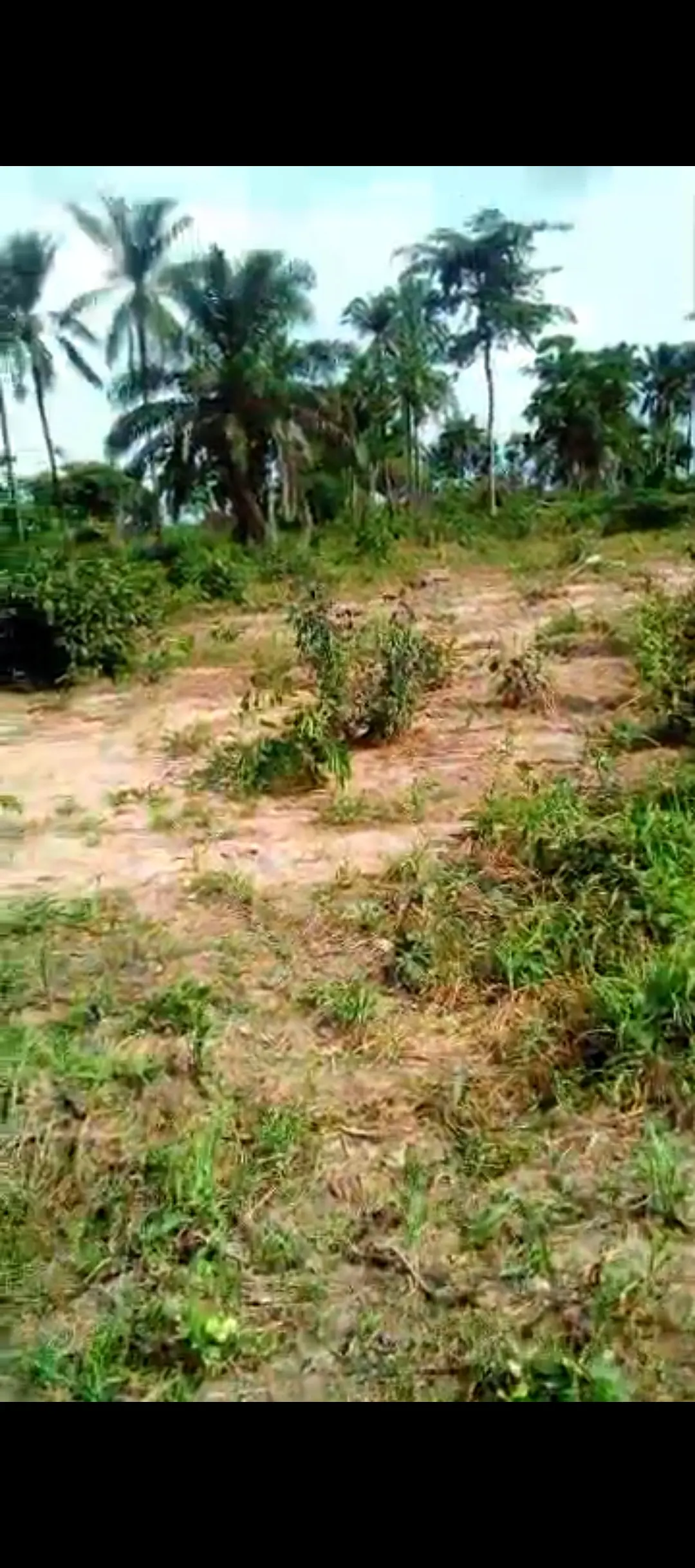 Genuine land urgently for sale  – Land for Sale