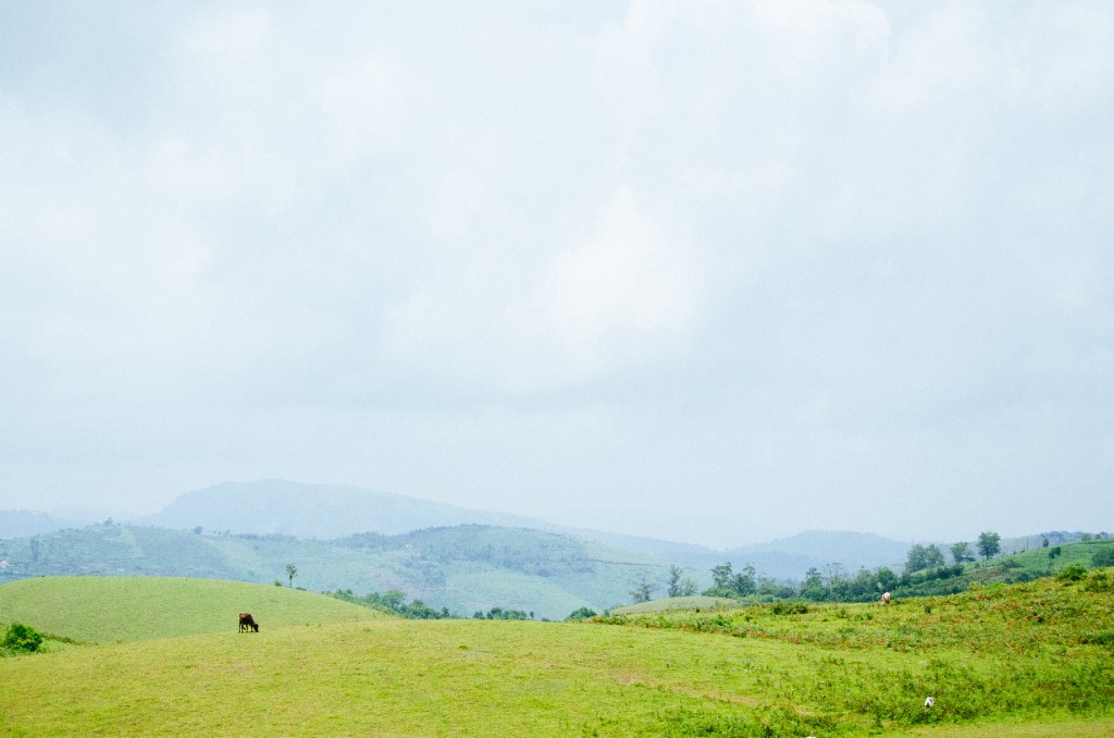 Vagamon