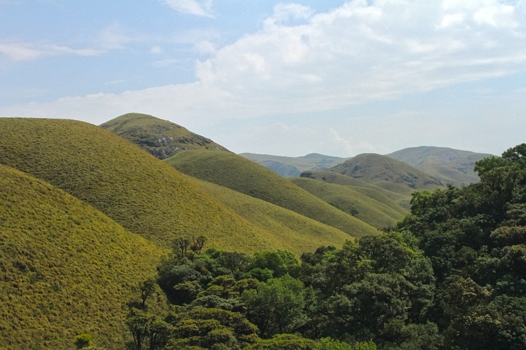 Silent Valley National Park