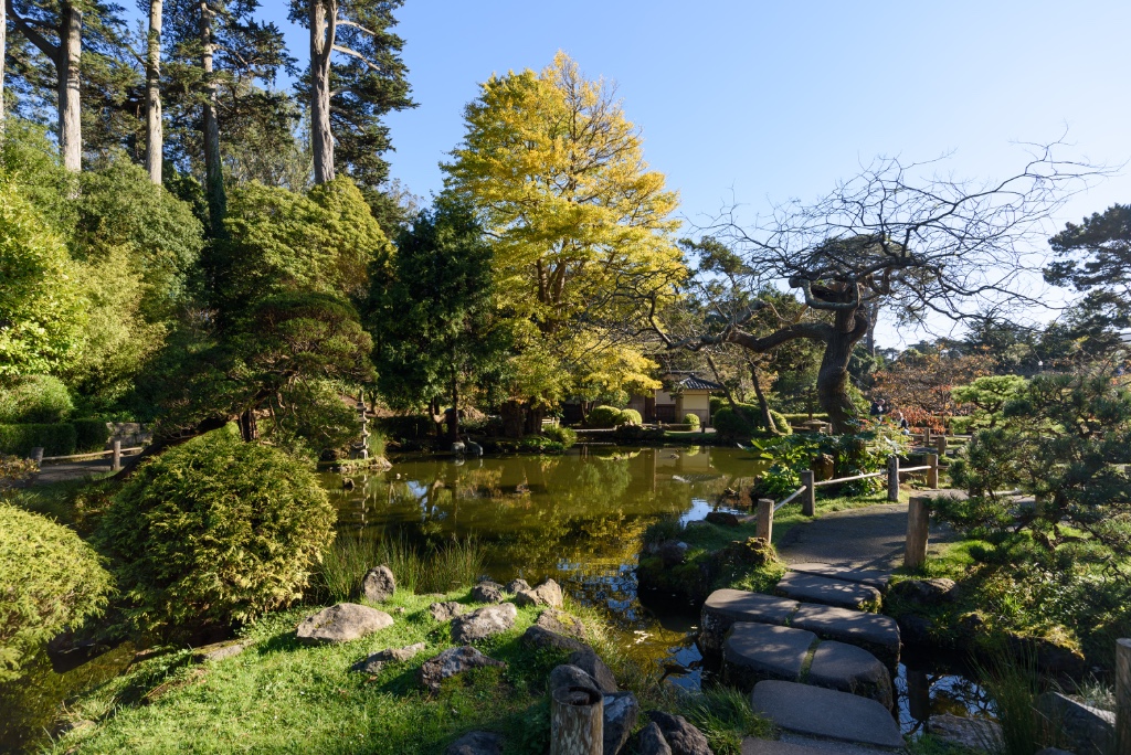 Japanese Tea Garden