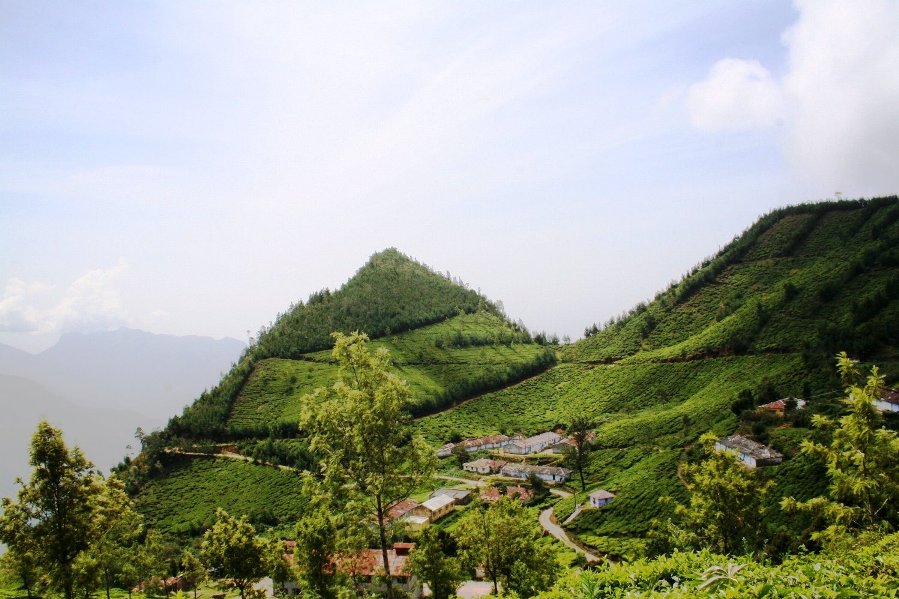Kolukkumalai Tea Estate