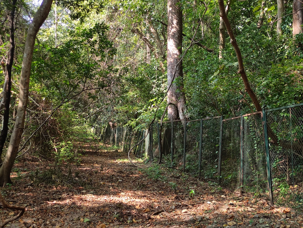 Thenmala Ecotourism