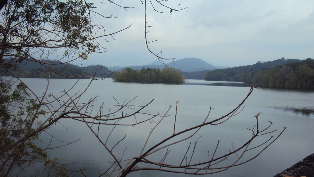 Peppara Wildlife Sanctuary