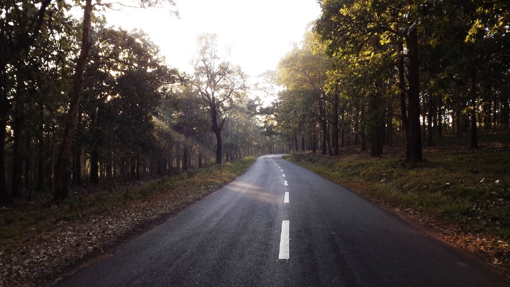 Tholpetty Wildlife Sanctuary