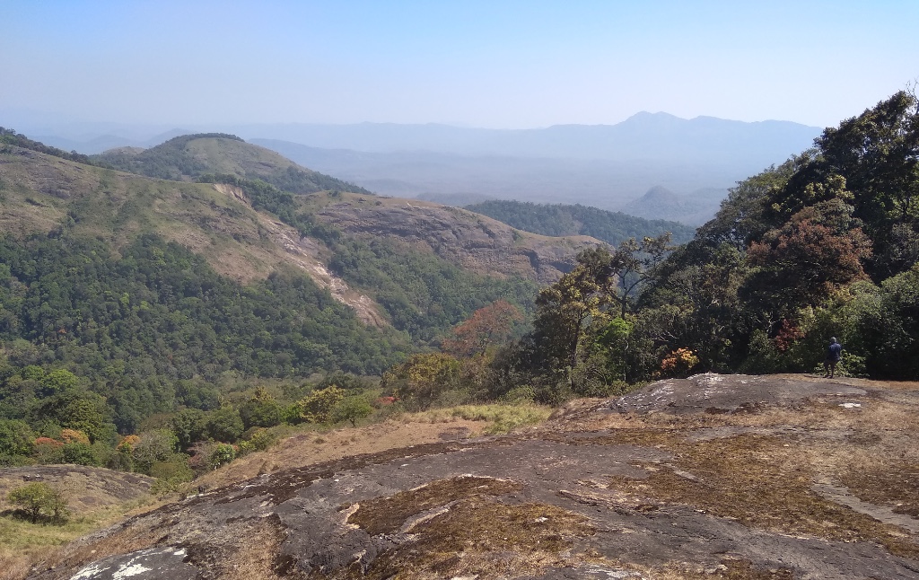 Nelliyampathy Hills