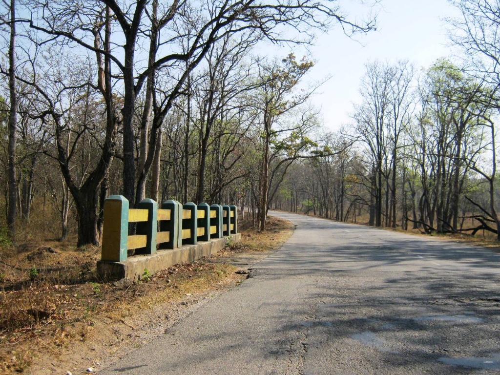 Bandipur National Park