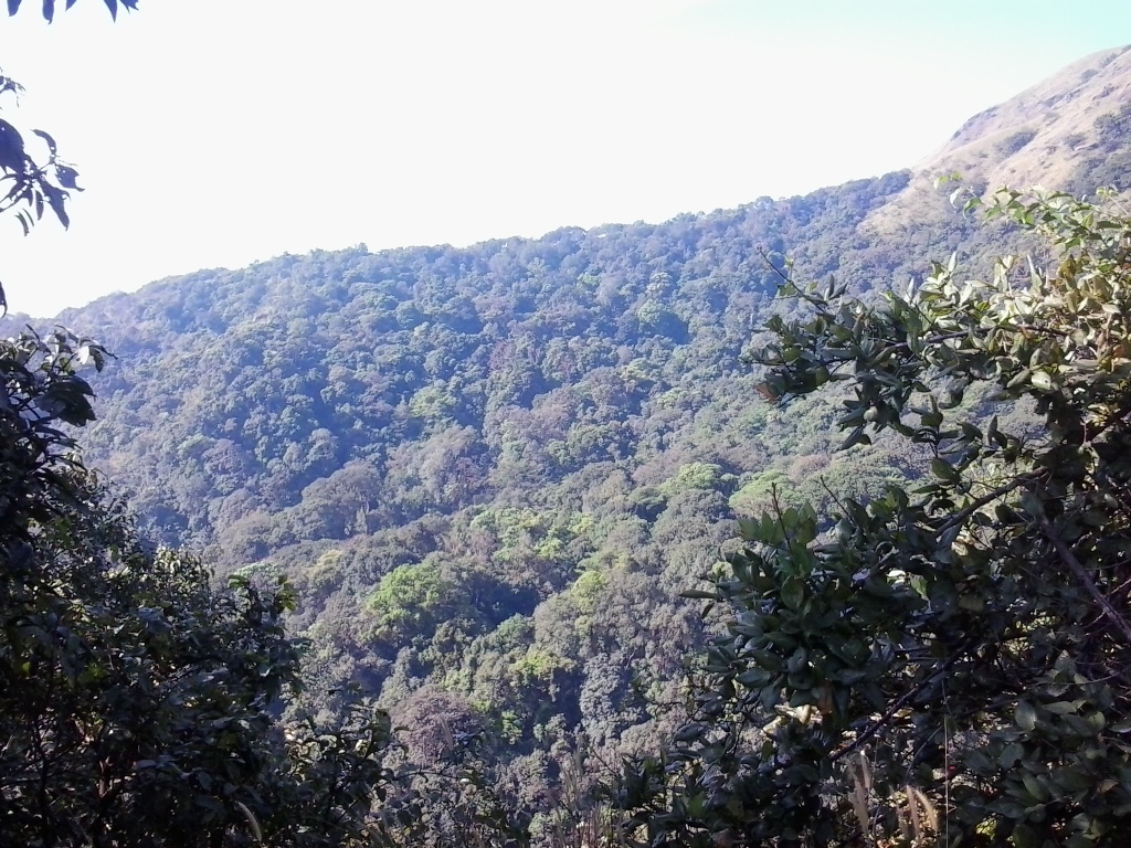 Kudremukh National Park