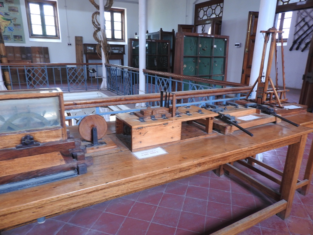 Gass Forest Museum