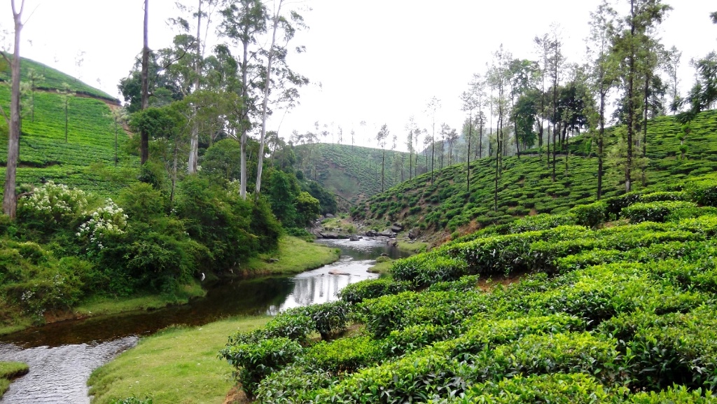 Valparai Hill Station