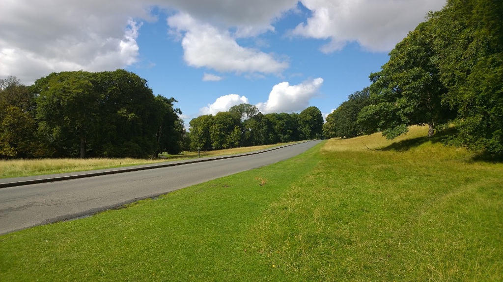 Phoenix Park