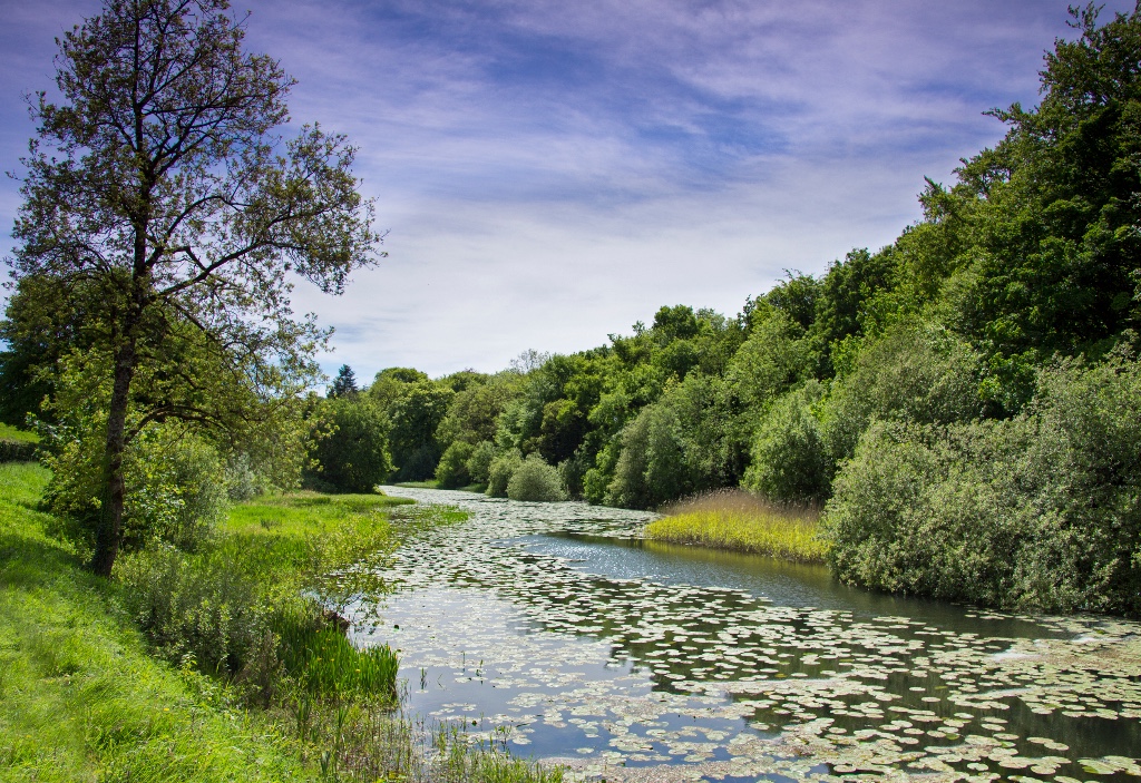 Heywood Gardens