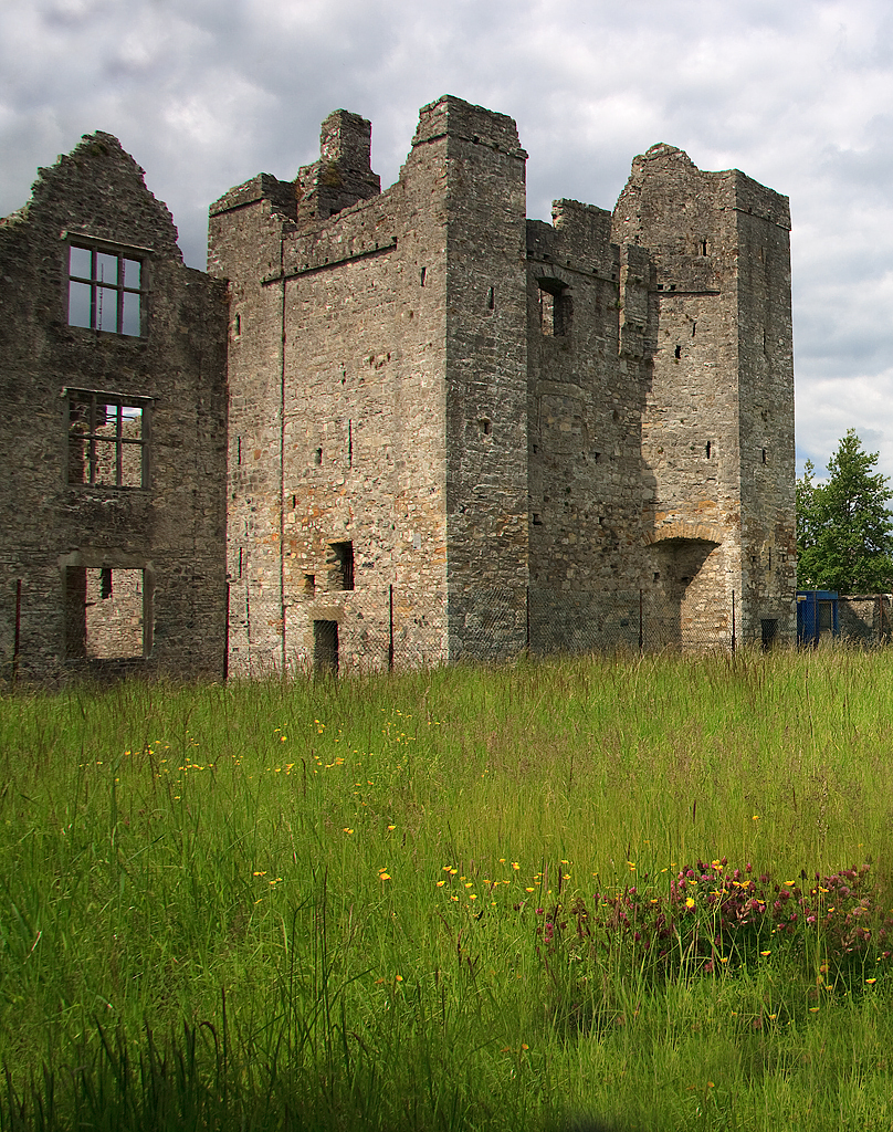 Athlumney Castle