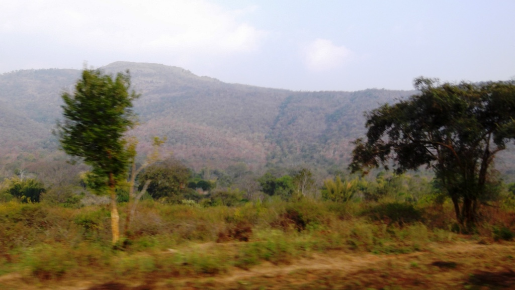Sathyamangalam Tiger Reserve