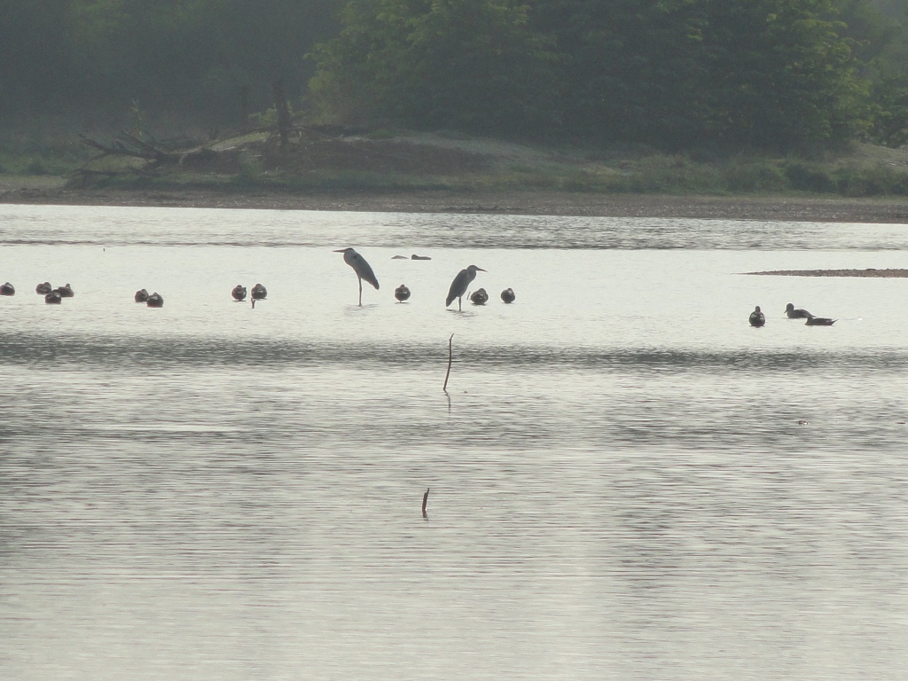 Vellode Bird Sanctuary